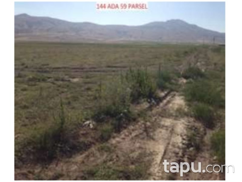 Bitlis Ahlat Taşharman Mahallesinde 43 Dönüm Tarla