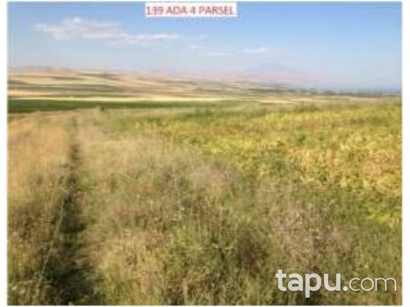 Bitlis Ahlat Taşharman Köyünde 32 Dönüm Tarla