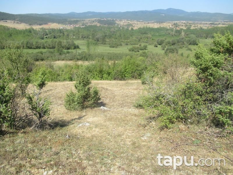 Kastamonu Daday Tüfekçi Köyünde 582 m2 Hisseli Tarla