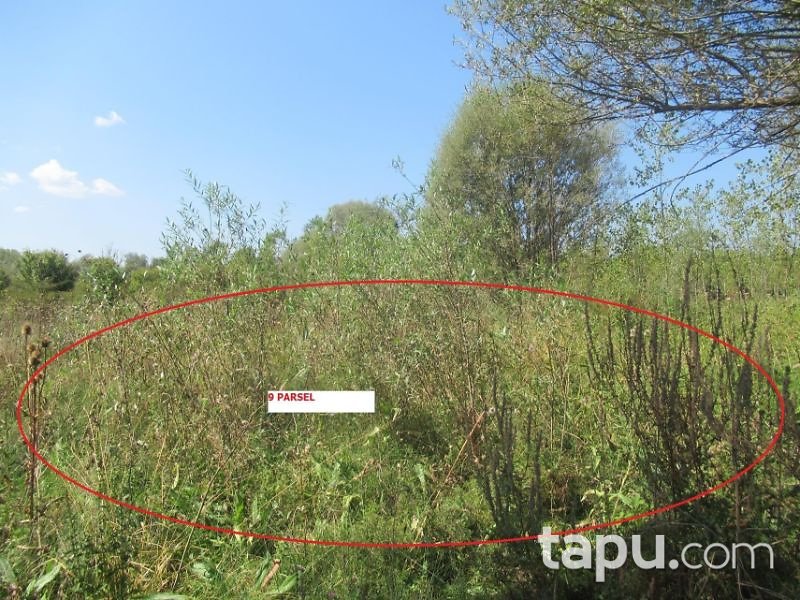 Kastamonu Daday Tüfekçi Köyünde 582 m2 Hisseli Tarla