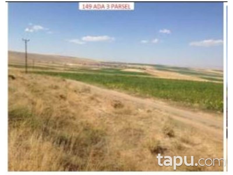 Bitlis Ahlat Taşharman Köyünde 89 Dönüm Tarla