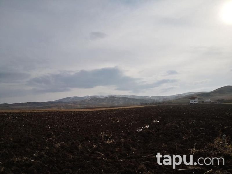 Sivas Gemerek Ekizce Köyünde 15 Dönüm Tarla