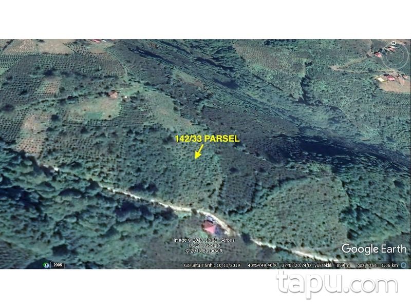 Ordu Ünye Pelitliyatak Ortamahalle Mahallesinde 2 Dönüm Tarla