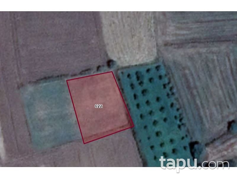 Kırklareli Pehlivanköy Akarca Köyünde 2 Dönüm Tarla