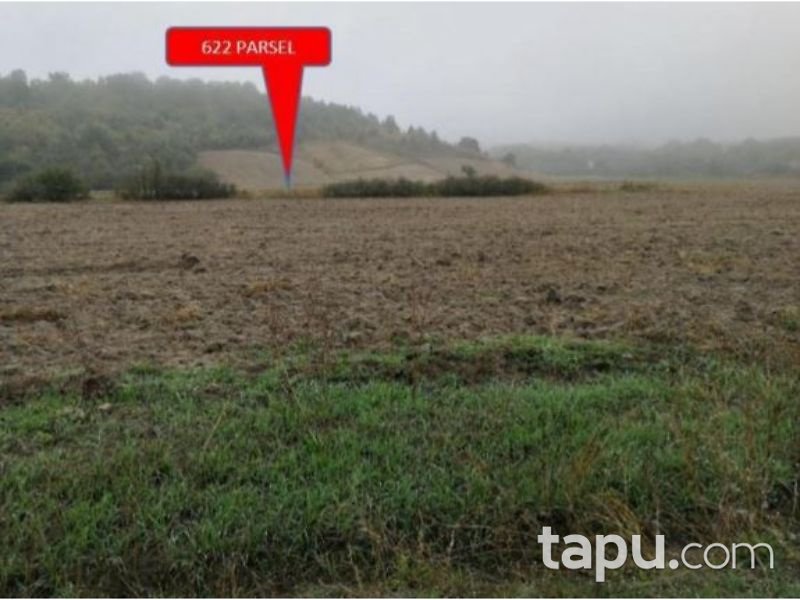 Kırklareli Pehlivanköy Akarca Köyünde 2 Dönüm Tarla