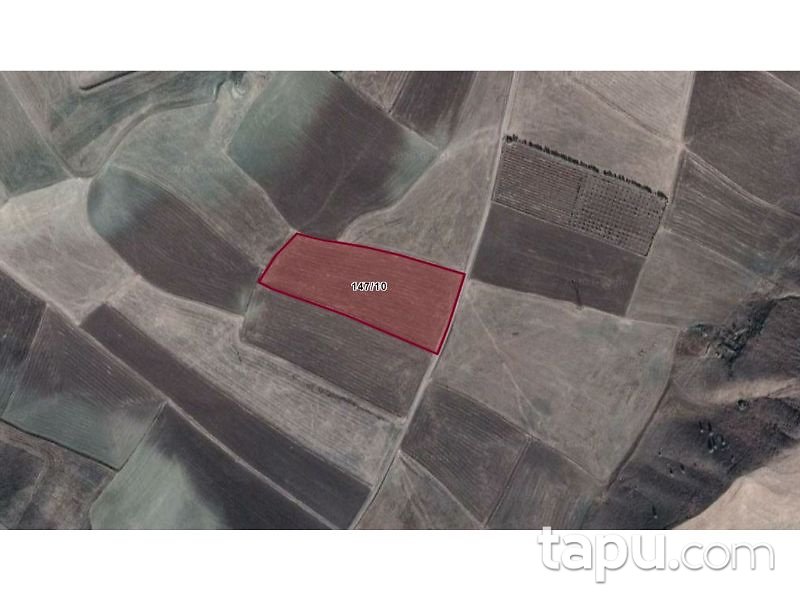 Ankara Kalecik Elmapınar Mahallesinde 3 Adet Tarla