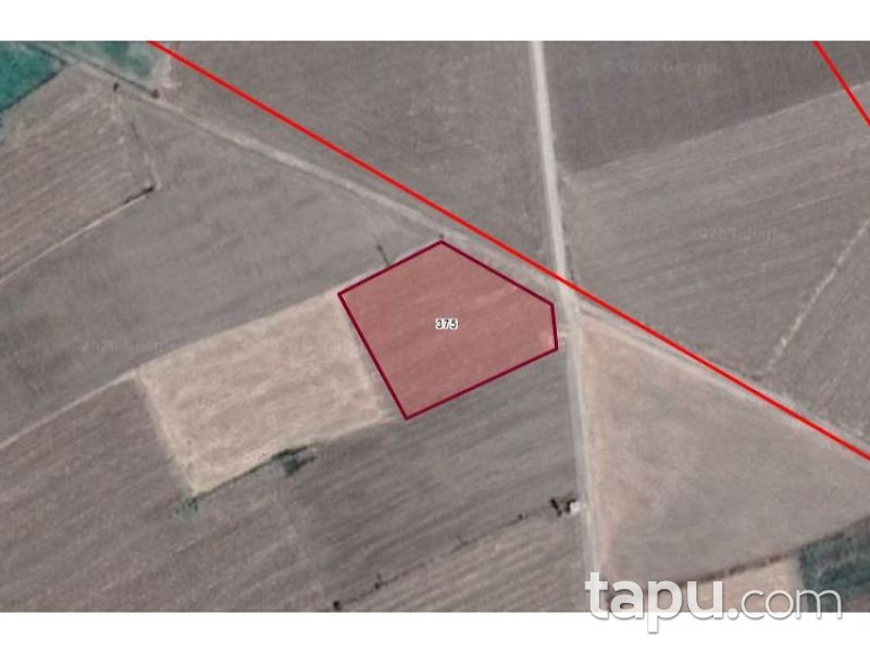 Afyonkarahisar Dinar Doğanlı Köyünde 4 Dönüm Tarla