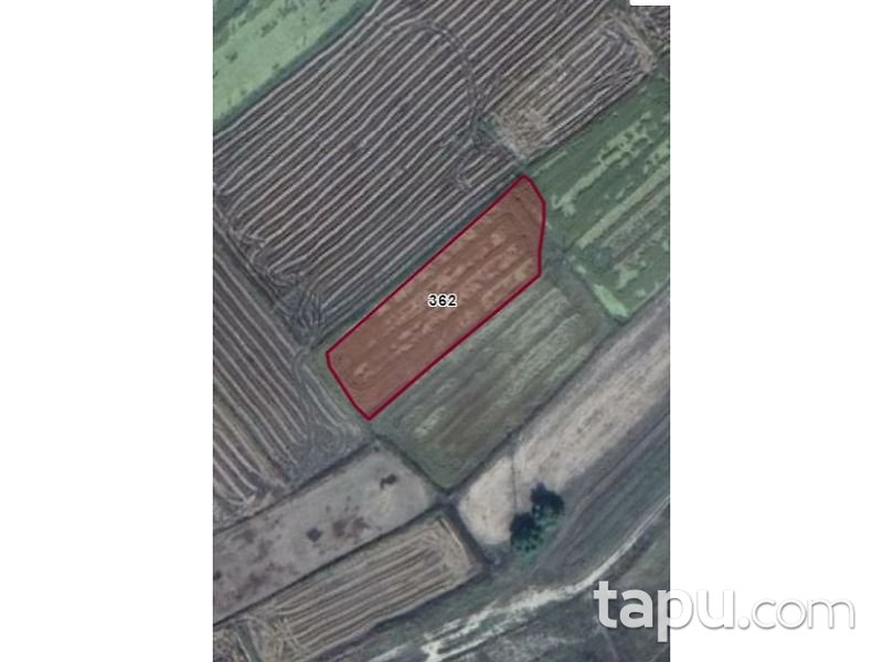 Edirne Havsa Şerbettar Köyünde 3 Dönüm Tarla