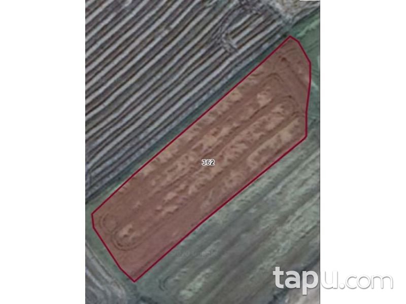 Edirne Havsa Şerbettar Köyünde 3 Dönüm Tarla