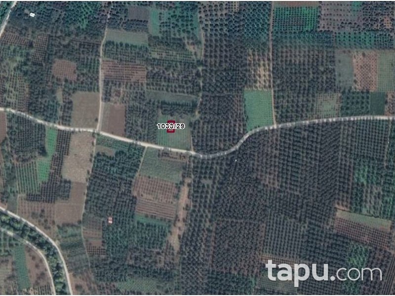 Bursa İznik Ömerli Mahallesinde 233 m2 Bahçe