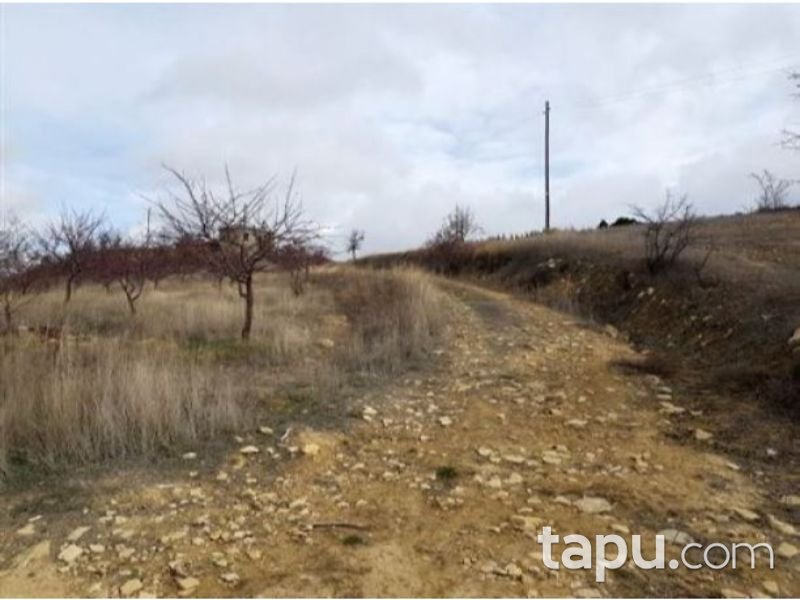 Mersin Gülnar Akova Mahallesinde 17400 m2 Kargir Ev ve Tarla