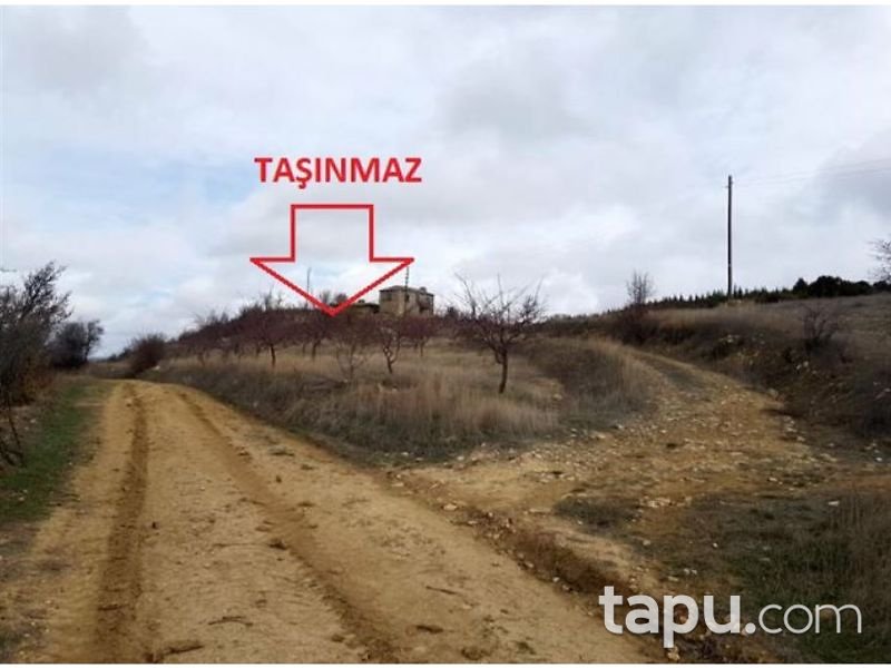 Mersin Gülnar Akova Mahallesinde 17400 m2 Kargir Ev ve Tarla