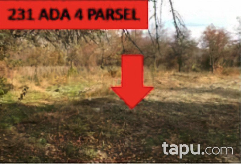 Ankara Nallıhan Çalıcaalan Köyünde 3659 m2 Tarla