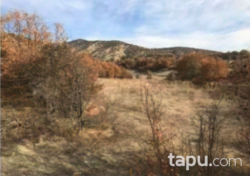 Ankara Nallıhan Çalıcaalan Köyünde 3381 m2 Tarla