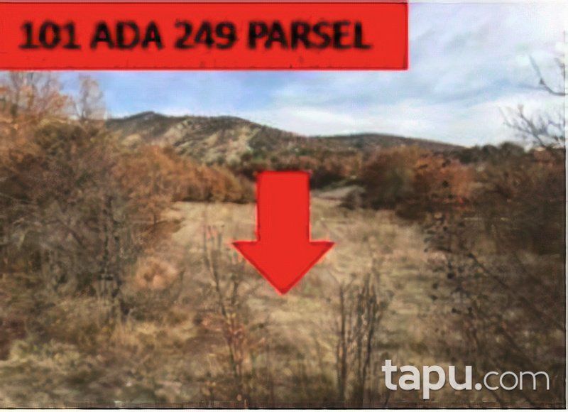 Ankara Nallıhan Çalıcaalan Köyünde 3381 m2 Tarla