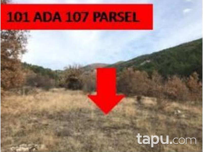 Ankara Nallıhan Çalıcaalan Mahallesinde 1481 m2 Tarla