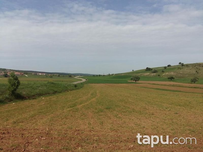 Tokat Yeşilyurt Damlalı Köyünde 6850 m2 Tarla