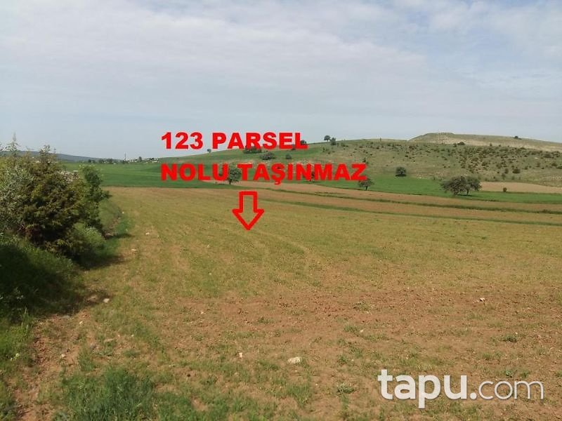 Tokat Yeşilyurt Damlalı Köyünde 6850 m2 Tarla