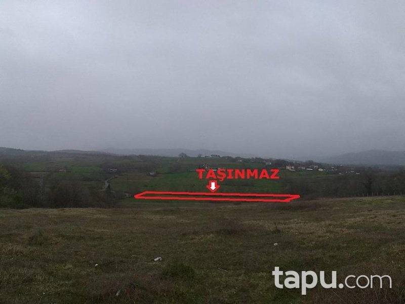 Zonguldak Çaycuma Şehler Köyünde 5 Dönüm Tarla