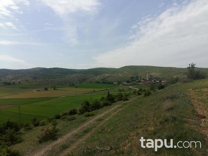Tokat Yeşilyurt Damlalı Köyünde 11050 m2 Tarla