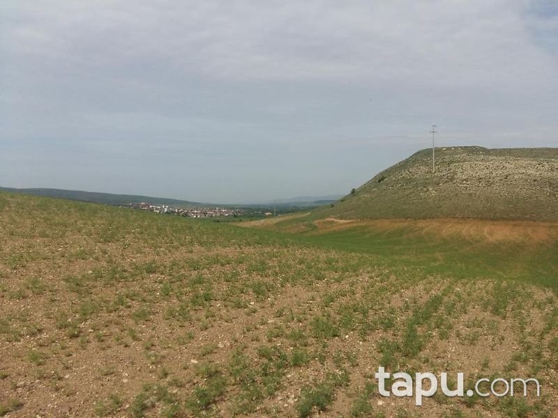 Tokat Yeşilyurt Damlalı Köyünde 11050 m2 Tarla