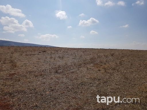 Afyonkarahisar Çobanlar Göynük 9500m2 Tarla