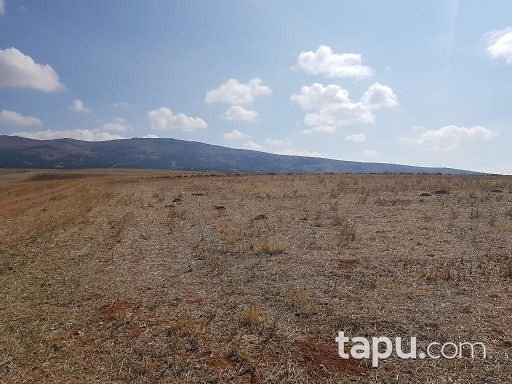 Afyonkarahisar Çobanlar Göynük 9500m2 Tarla