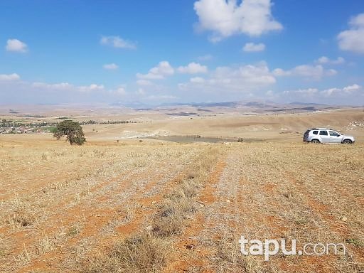 Afyonkarahisar Çobanlar Göynük 9500m2 Tarla