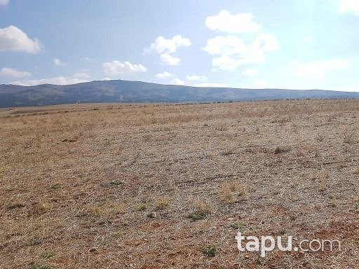 Afyonkarahisar Çobanlar Göynük 9500m2 Tarla