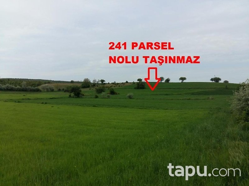 Tokat Yeşilyurt Damlalı Köyünde 5000 m2 Tarla