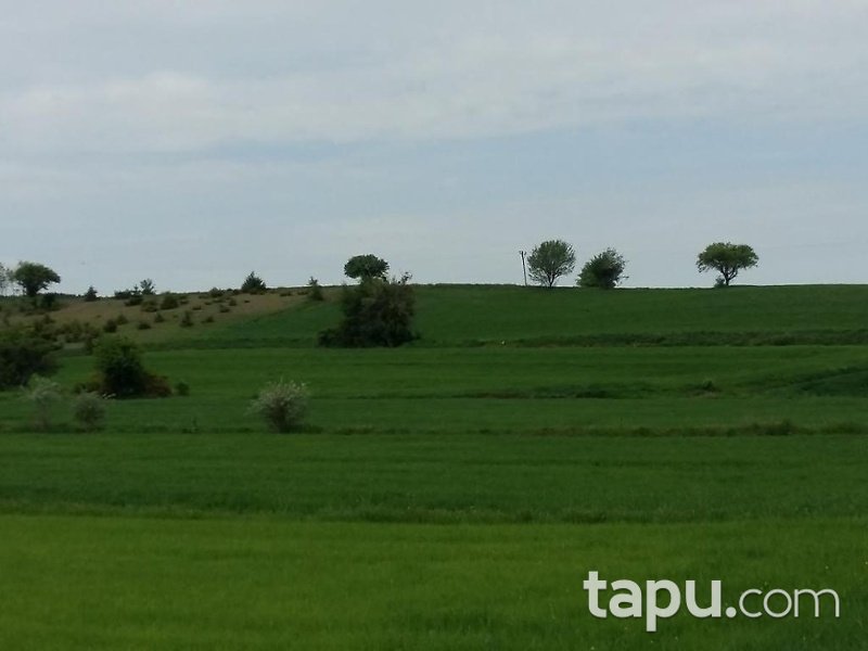 Tokat Yeşilyurt Damlalı Köyünde 5000 m2 Tarla