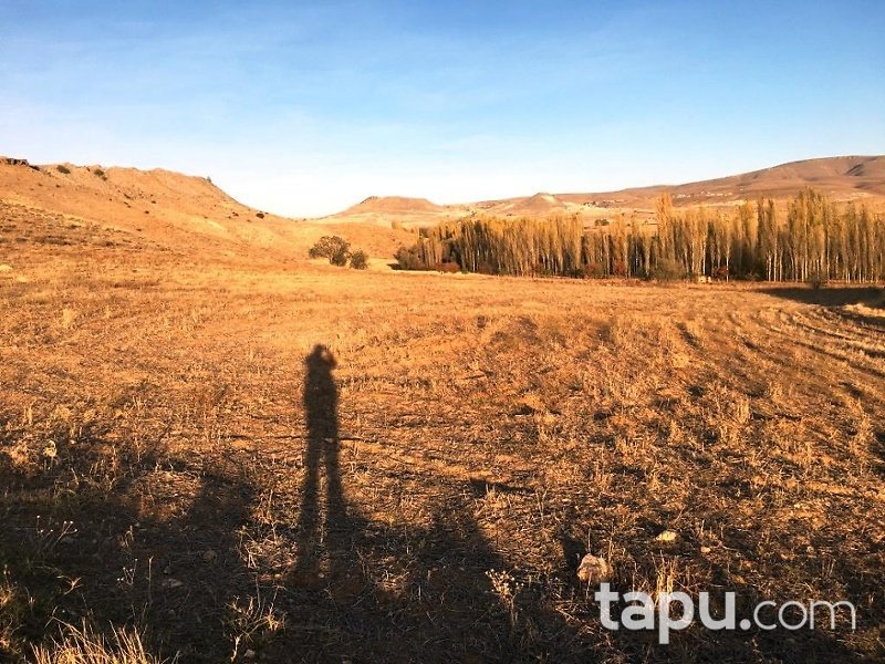 Afyonkarahisar Çobanlar'da 3195m2 Sebze Bahçesi