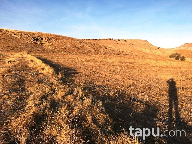 Afyonkarahisar Çobanlar'da 3195m2 Sebze Bahçesi