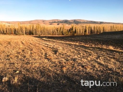 Afyonkarahisar Çobanlar'da 3195m2 Sebze Bahçesi