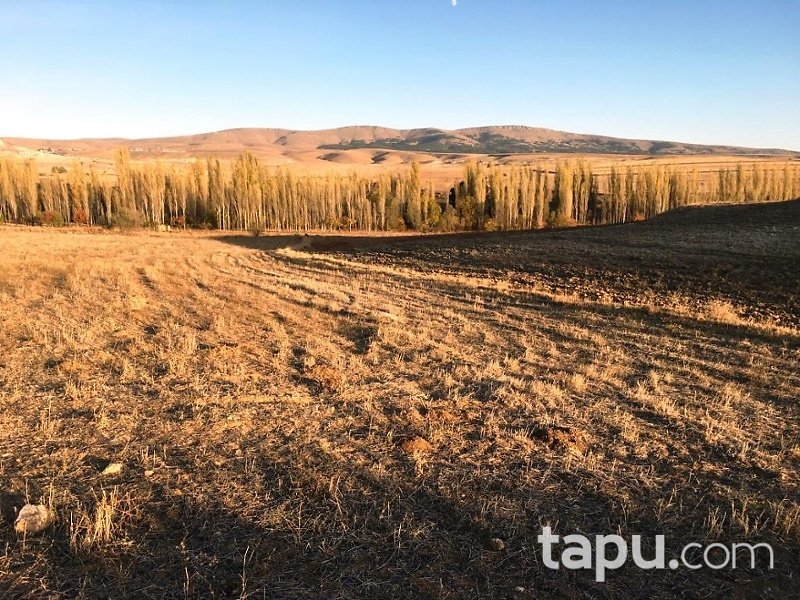 Afyonkarahisar Çobanlar'da 3195m2 Sebze Bahçesi