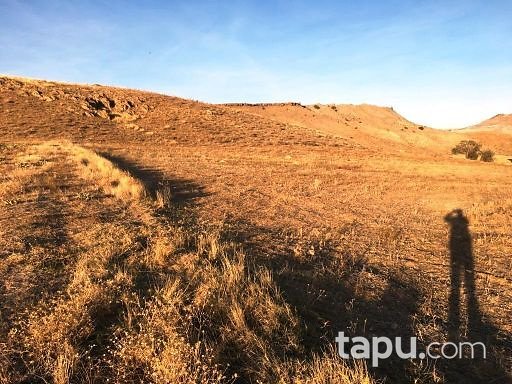 Afyonkarahisar Çobanlar'da 3195m2 Sebze Bahçesi