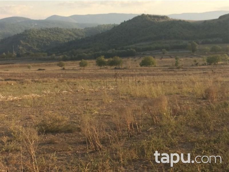 Tokat Niksar Kümbetli Köyünde 6100 m2 Tarla