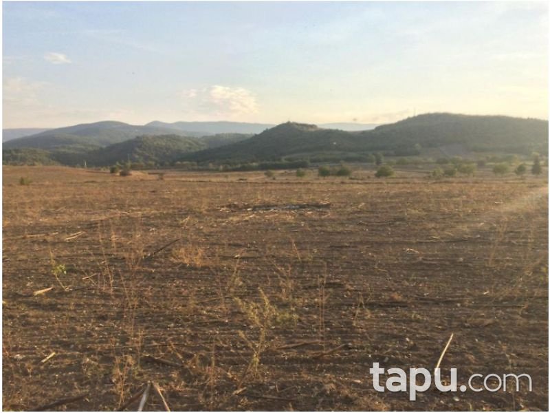 Tokat Niksar Kümbetli Köyünde 6100 m2 Tarla