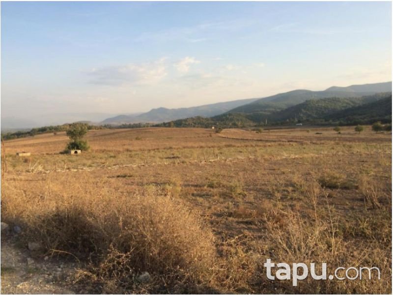 Tokat Niksar Kümbetli Köyünde 6100 m2 Tarla