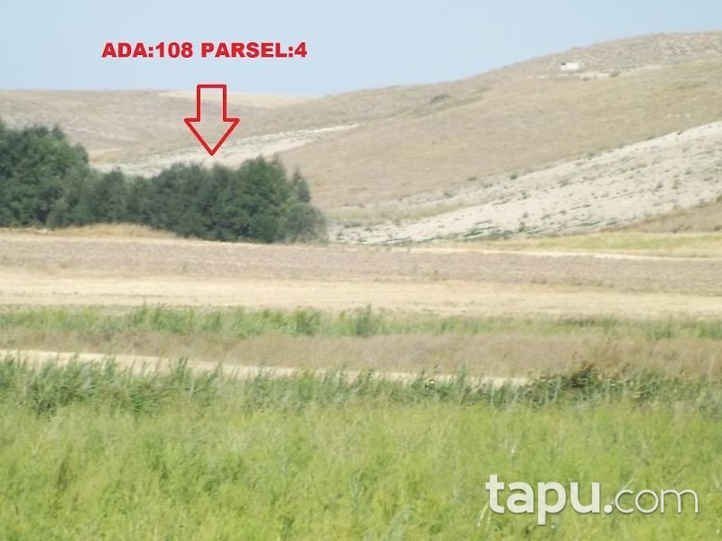 Yozgat Merkez Özlüce Köyünde 29500 m2 Tarla