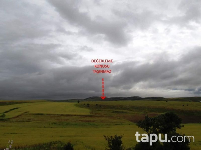 Çankırı Orta İlçesi Kayılar Köyünde 9736m2 Tarla