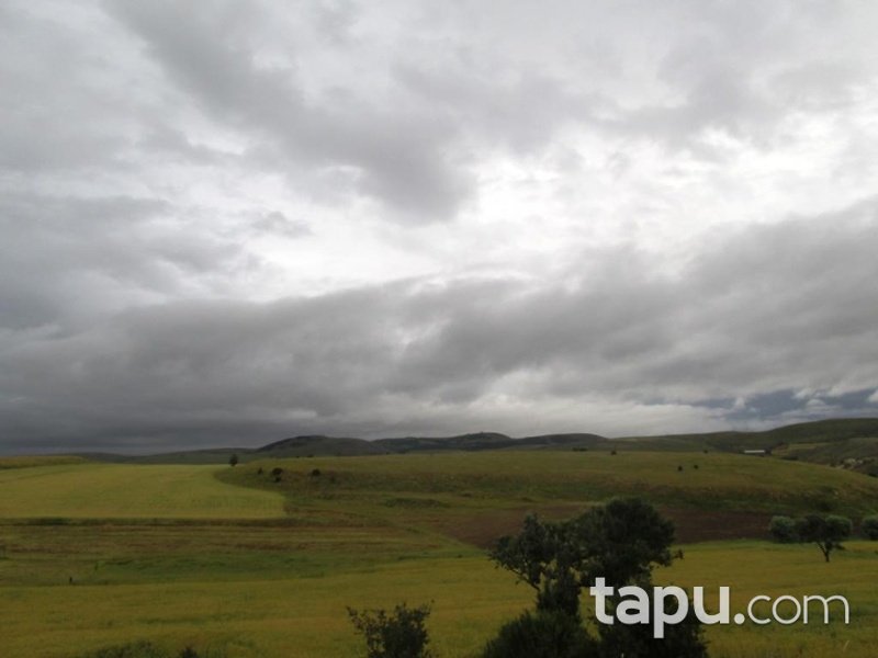 Çankırı Orta İlçesi Kayılar Köyünde 9736m2 Tarla