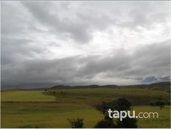 Çankırı Orta İlçesi Kayılar Köyünde 9736m2 Tarla