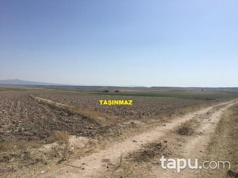 Nevşehir Acıgöl Tatlarin/Ballık Mahallesinde 7644 m2 Tarla