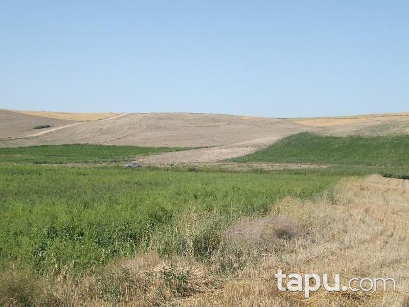 Yozgat Merkez Özlüce Köyünde 22700 m2 Tarla