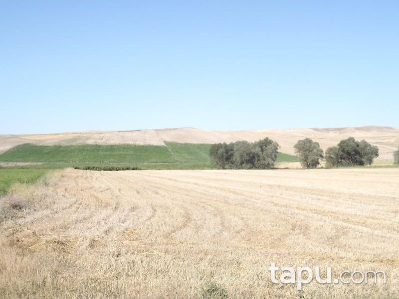 Yozgat Merkez Özlüce Köyünde 22700 m2 Tarla