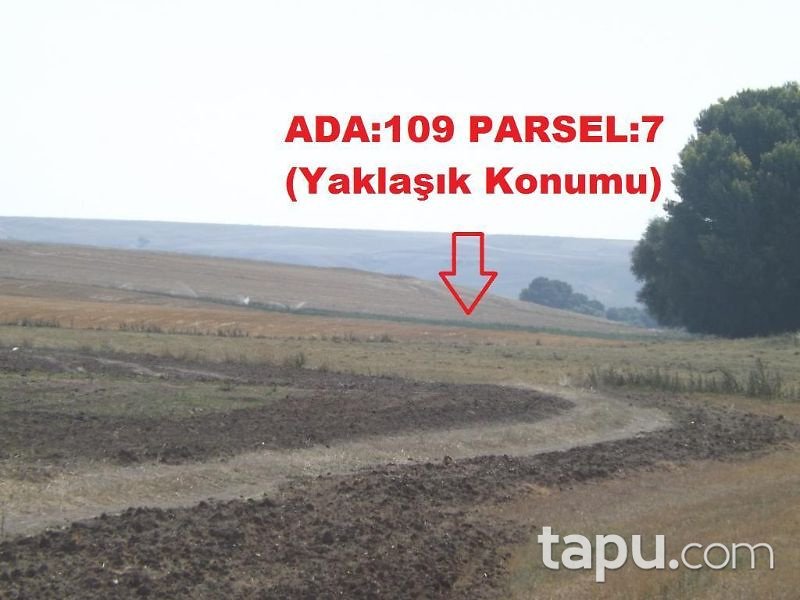 Yozgat Merkez Özlüce Köyünde 15400 m2 Tarla