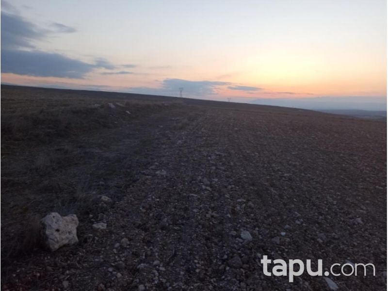 Afyonkarahisar Başmakçı Çevlik Köyü 10 Dönüm Tarla