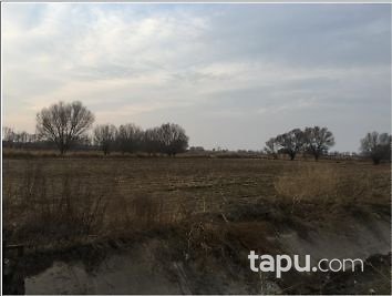 Iğdır Karakoyunlu Taşburun Köyünde 3500m2 Tarla