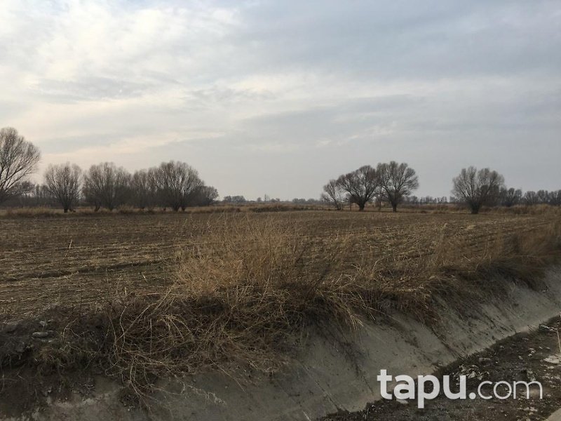 Iğdır Karakoyunlu Taşburun Köyünde 3500m2 Tarla
